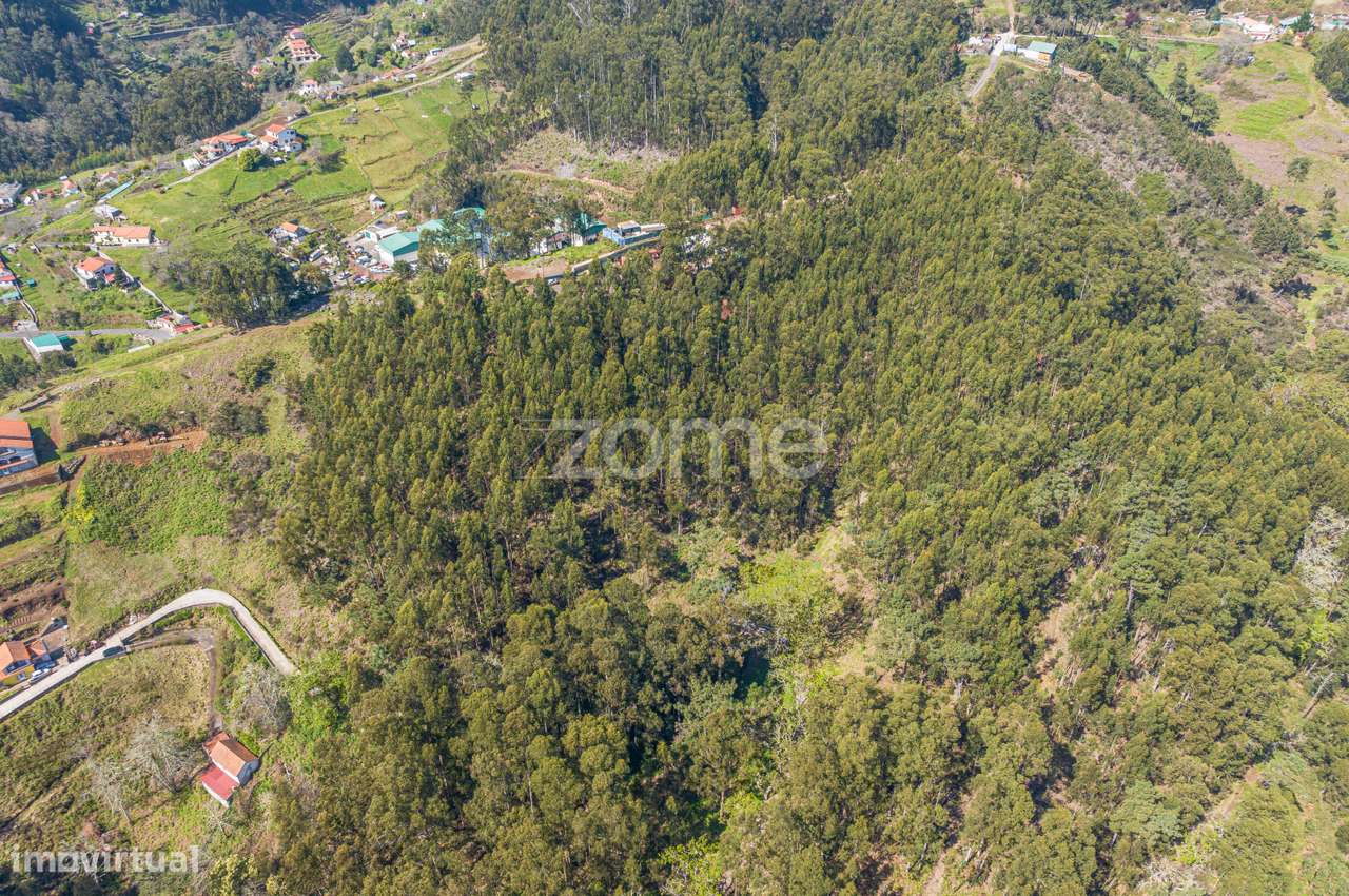 Terreno na Camacha - Grande imagem: 5/8