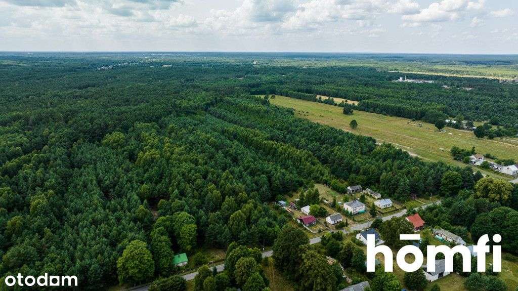 Działka leśna w okolicy puszczy Kozienickiej - Pełny obrazek: 5/8