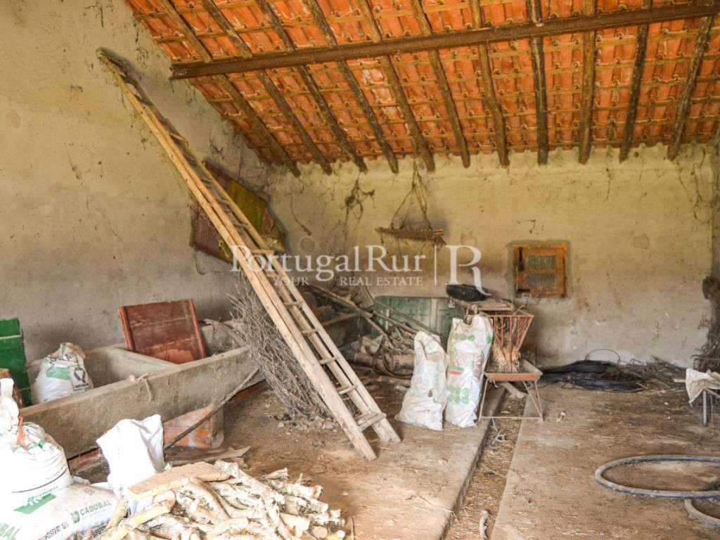 Herdade de 60 ha e monte, em Reguengos de Monsaraz-15