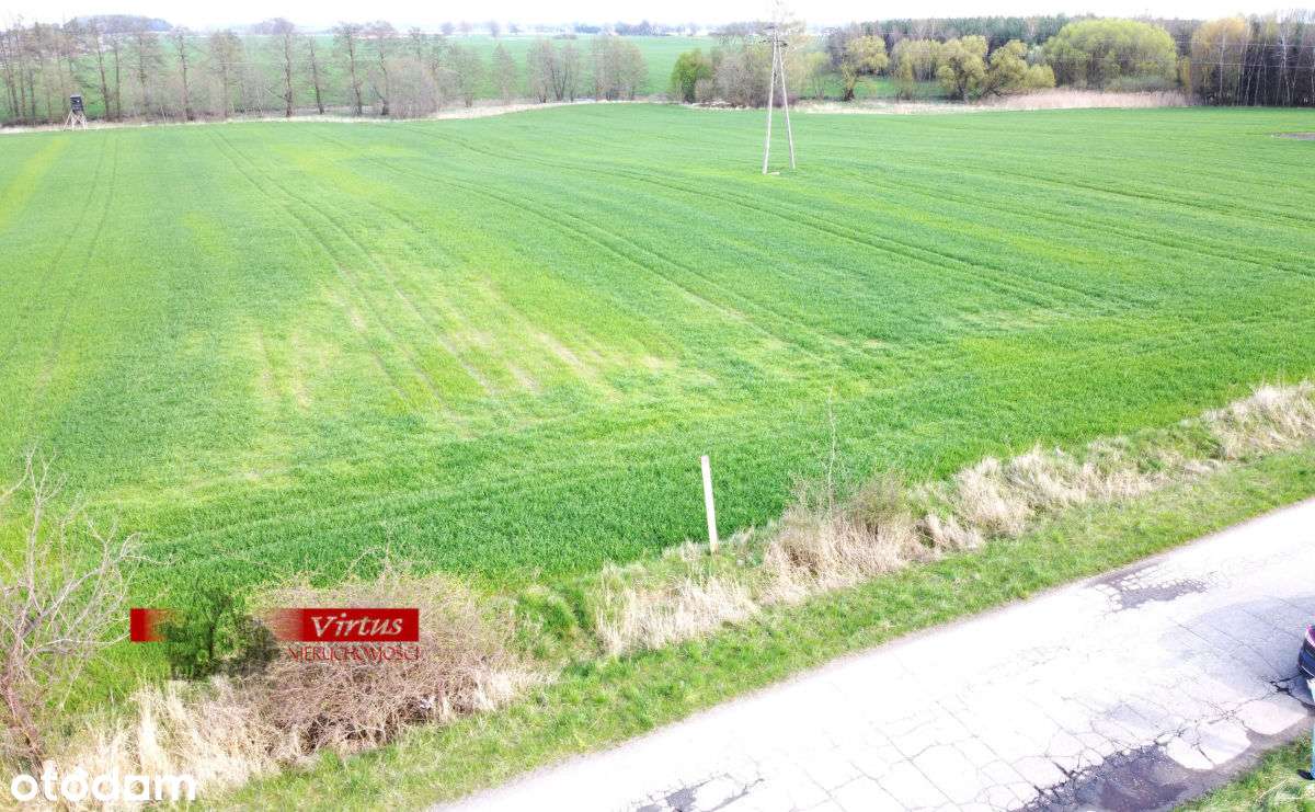 działka rolno-budowlana - Pełny obrazek: 4/4