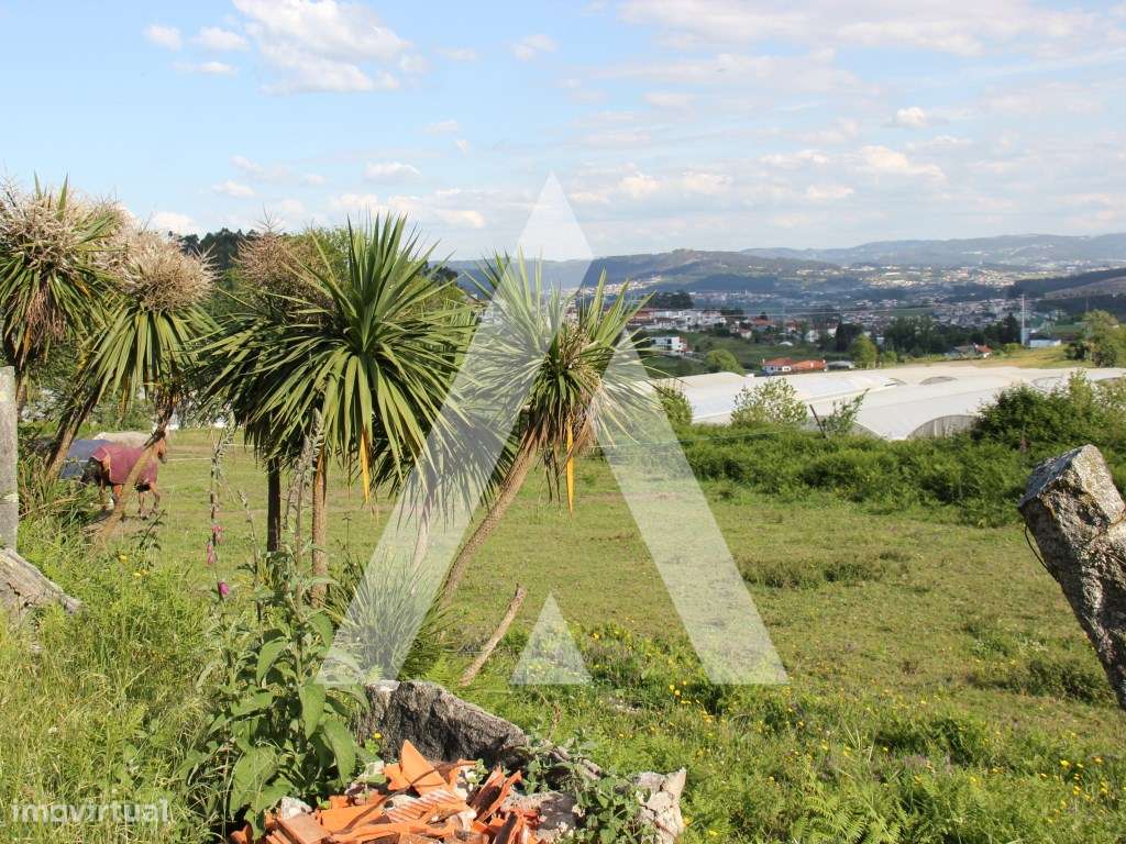 Quinta T6 histórica para recuperação, Guimarães.-24