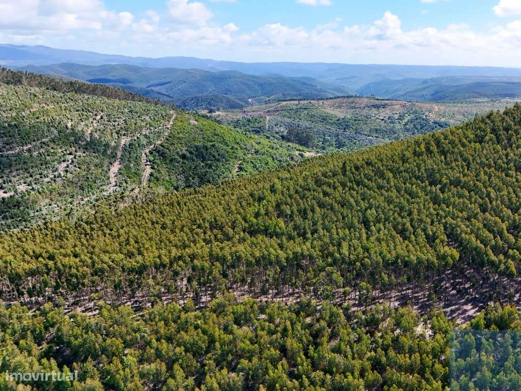 Terreno em São Teotónio, Odemira-17