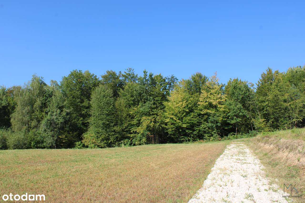 Kobylec, gmina Łapanów – działka budowlana z własnym stawem.-6