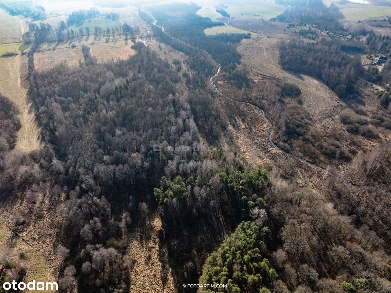 DUŻA DZIAŁKA ROLNO-LEŚNA - Pełny obrazek: 4/6