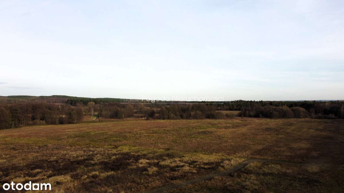 Działki na sprzedaż - Trzebule-4