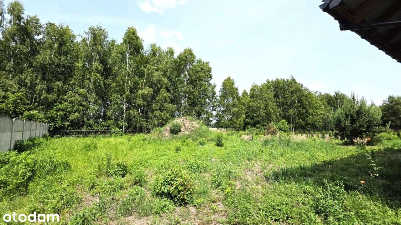 Mały, rodzinny dom w okolicy Sokolnik - Pełny obrazek: 5/18