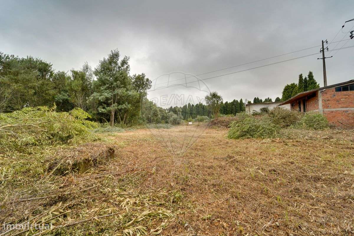 Armazém  para venda - Grande imagem: 4/6