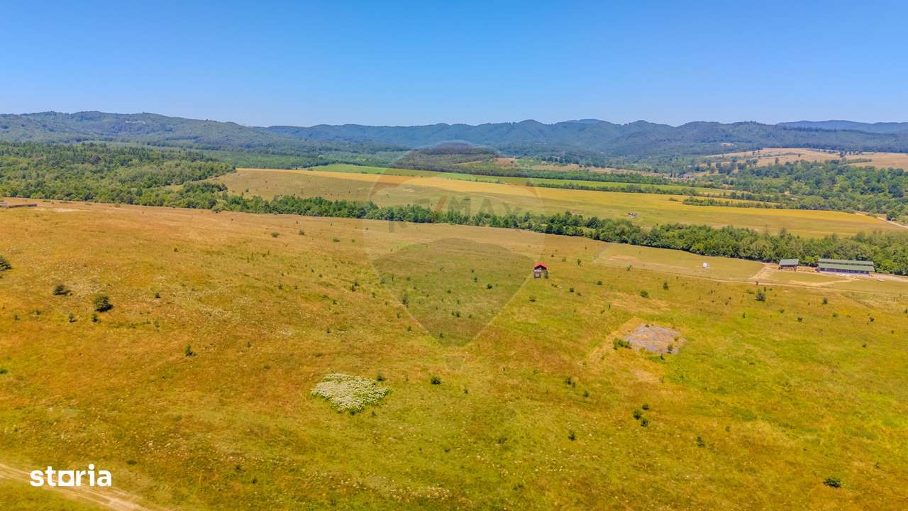 COMISION 0% Teren de 2177 mp/proiectul  LaDumbrava /PLATĂ ÎN RATE - Imagine principală: 5/6