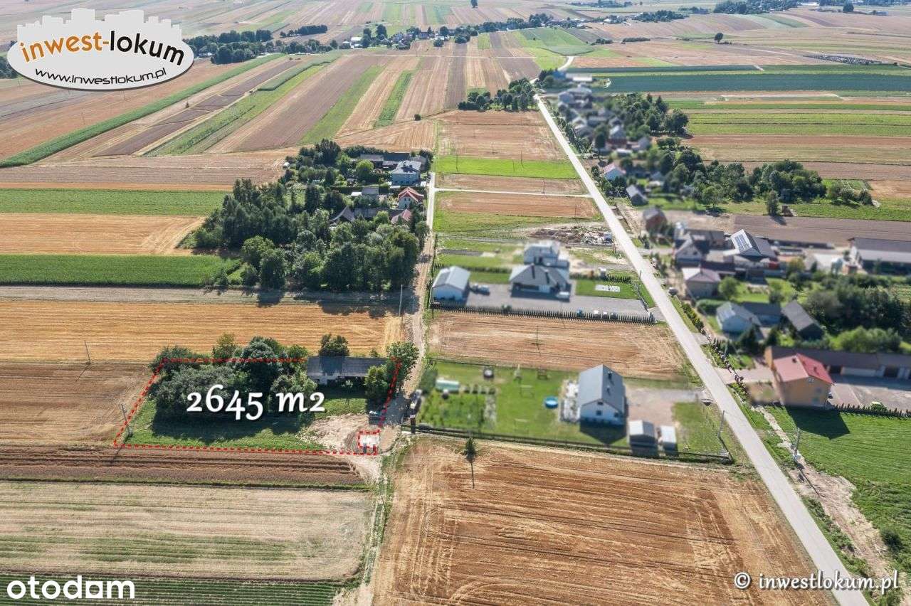 Działka, 2 645 m², Buk-5