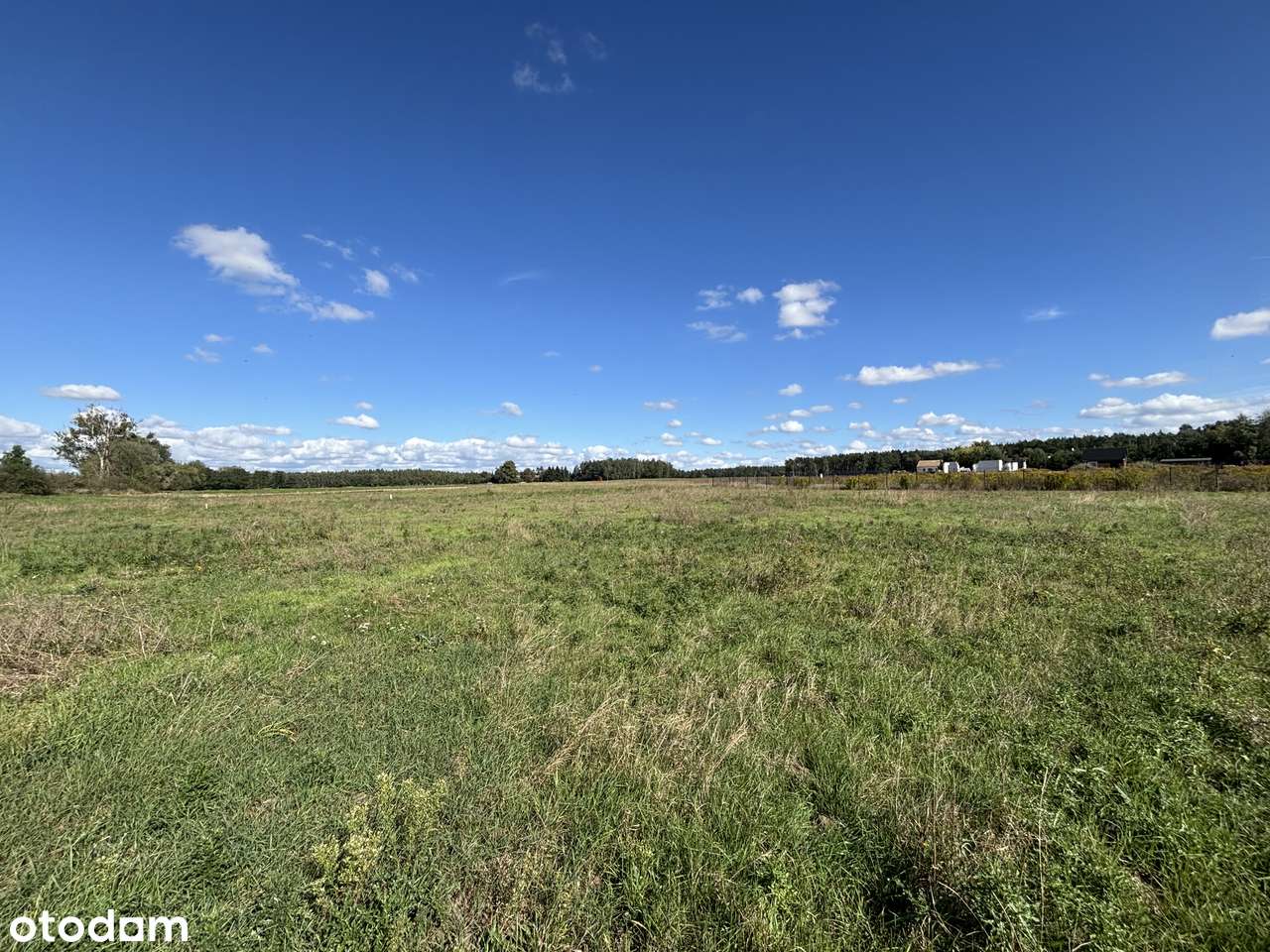 Działki budowlane pod lasem w Ceradzu Dolnym - Pełny obrazek: 4/9