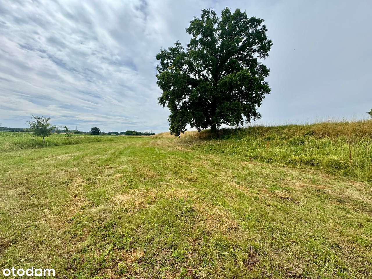 Działka rolna 7200 m2 -  Chomiąża, gmina Malczyce - Pełny obrazek: 5/10