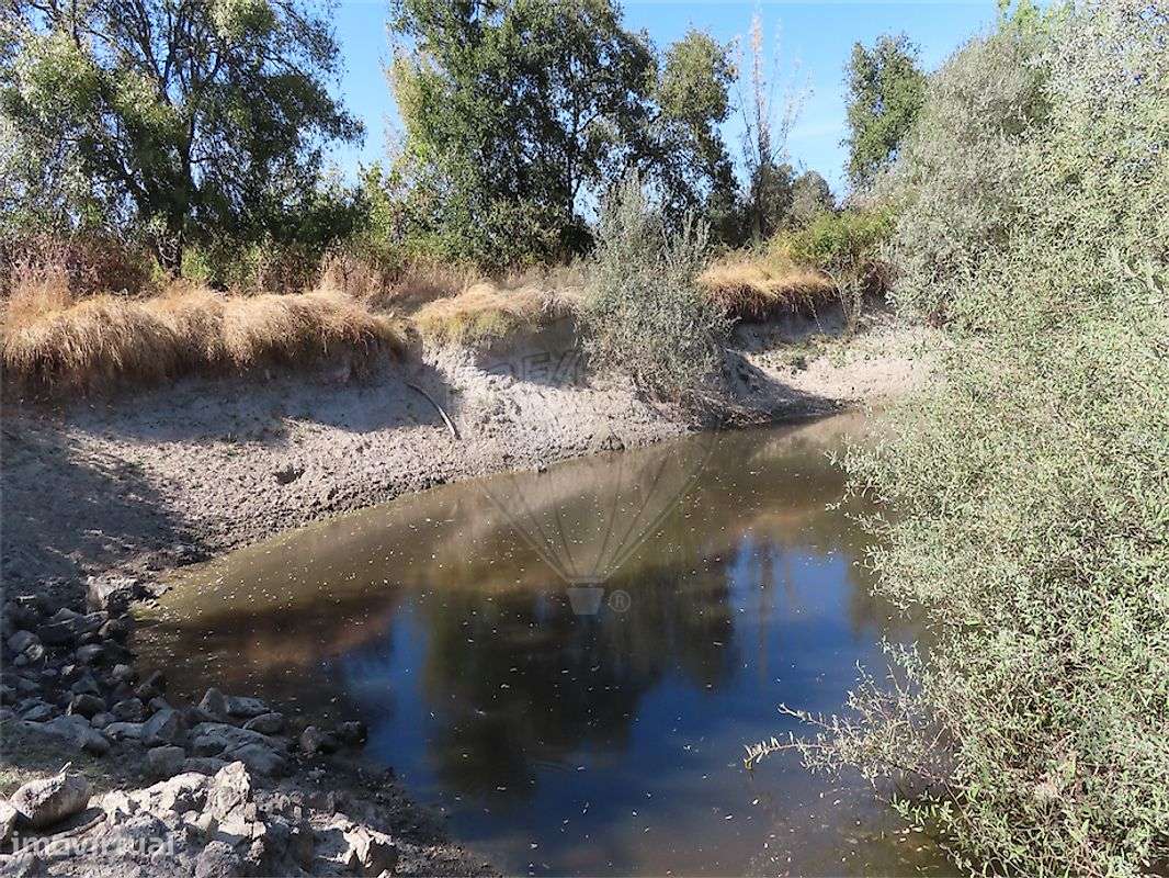 Quinta  para venda-5