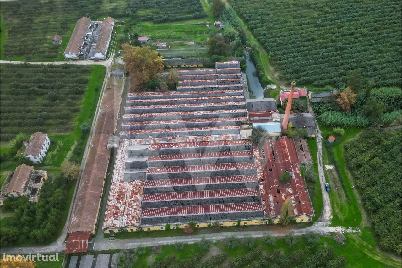 Antiga Fábrica EFANOR em Paleão com Terreno Amplo e Localização Estrat