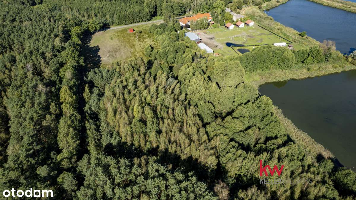 Działka rolna w enklawie leśnej Trzciel-Odbudowa. - Prikaz 6