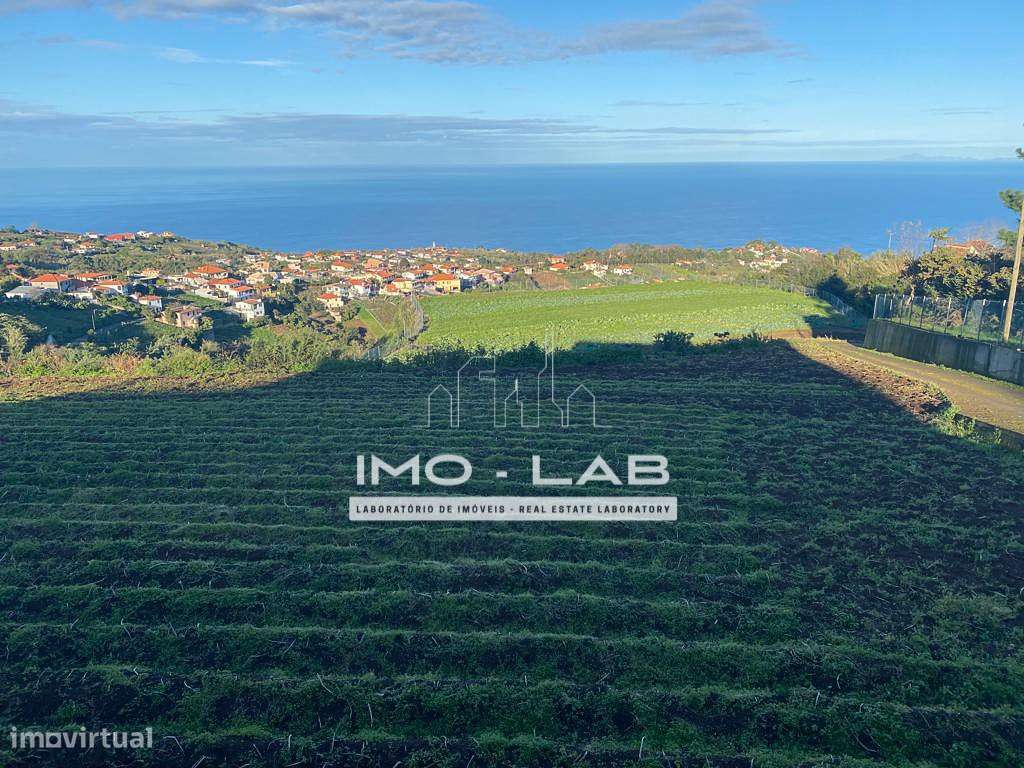 Armazém + 25.566m2 de Terreno Cultivado - São Jorge - Santana-14