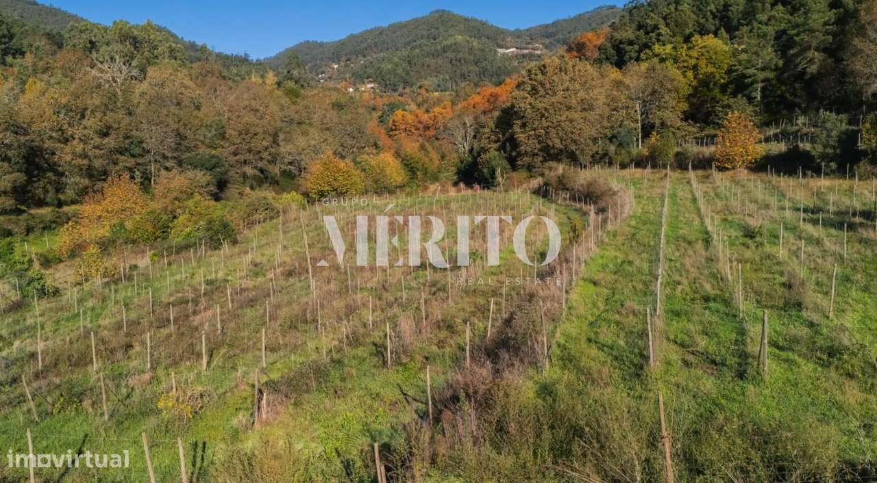 Venda Terreno - Grande imagem: 4/5