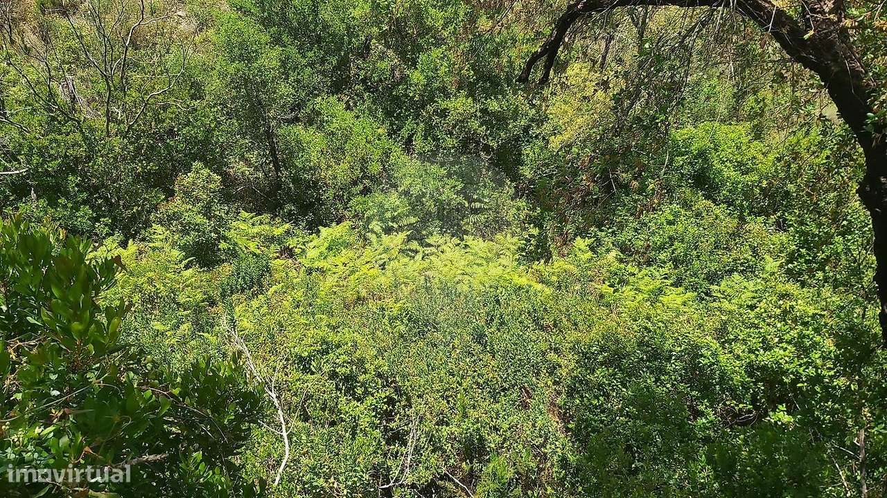 Terreno  para venda - Grande imagem: 2/8