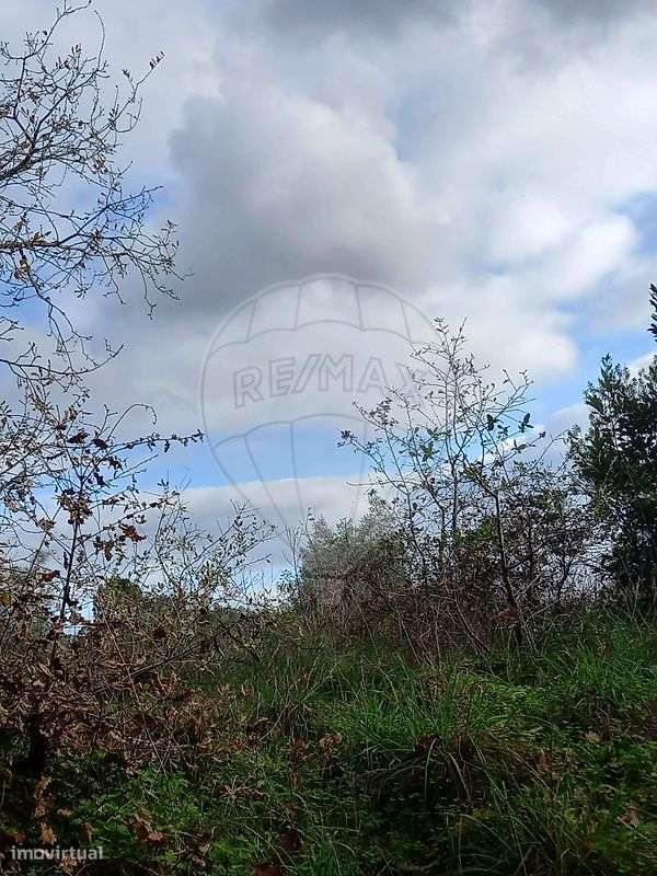 Terreno  para venda - Grande imagem: 3/8