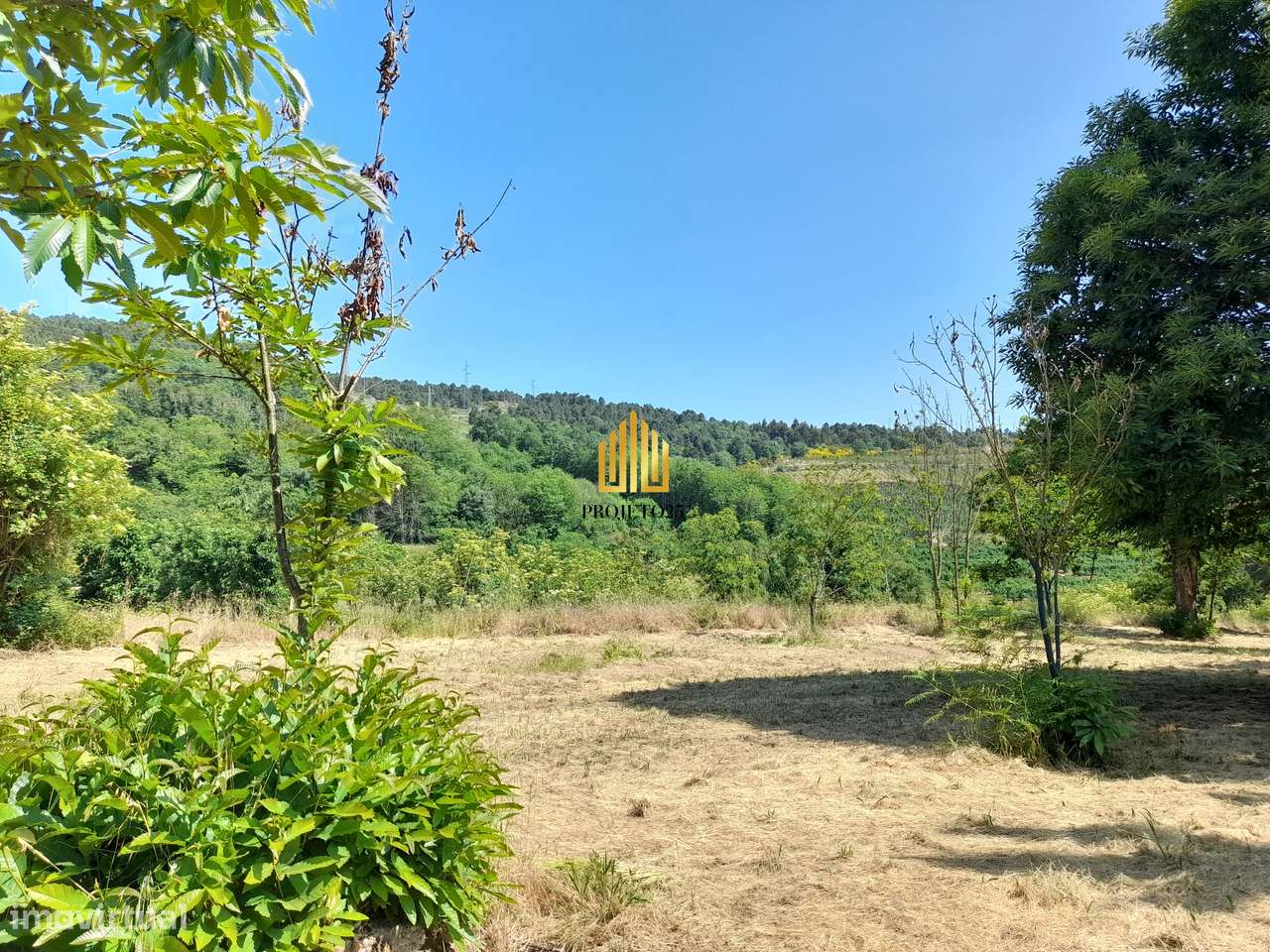 Terreno único com 21.500 m² Zona Vinhateira - Projeto Turístico-28
