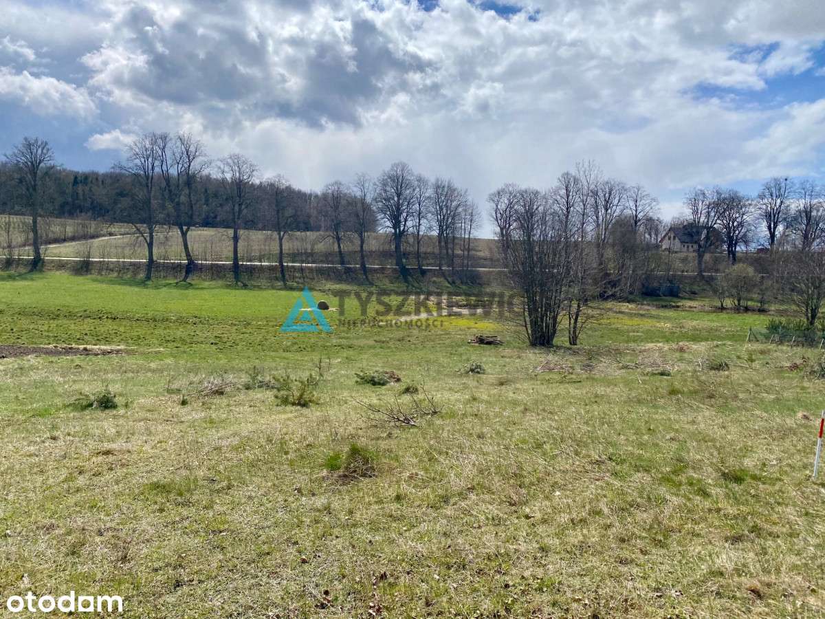 Działka Budowlana W Nowej Wsi/Gm. Stężyca - Pełny obrazek: 2/14