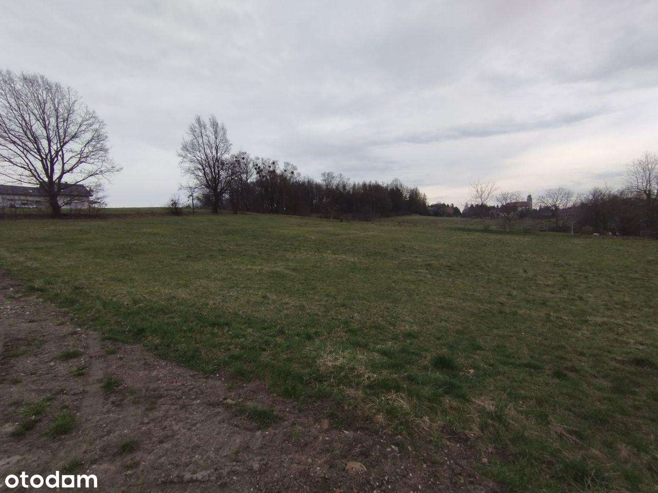 Duża działka w spokojnym miejscu - Pełny obrazek: 4/5