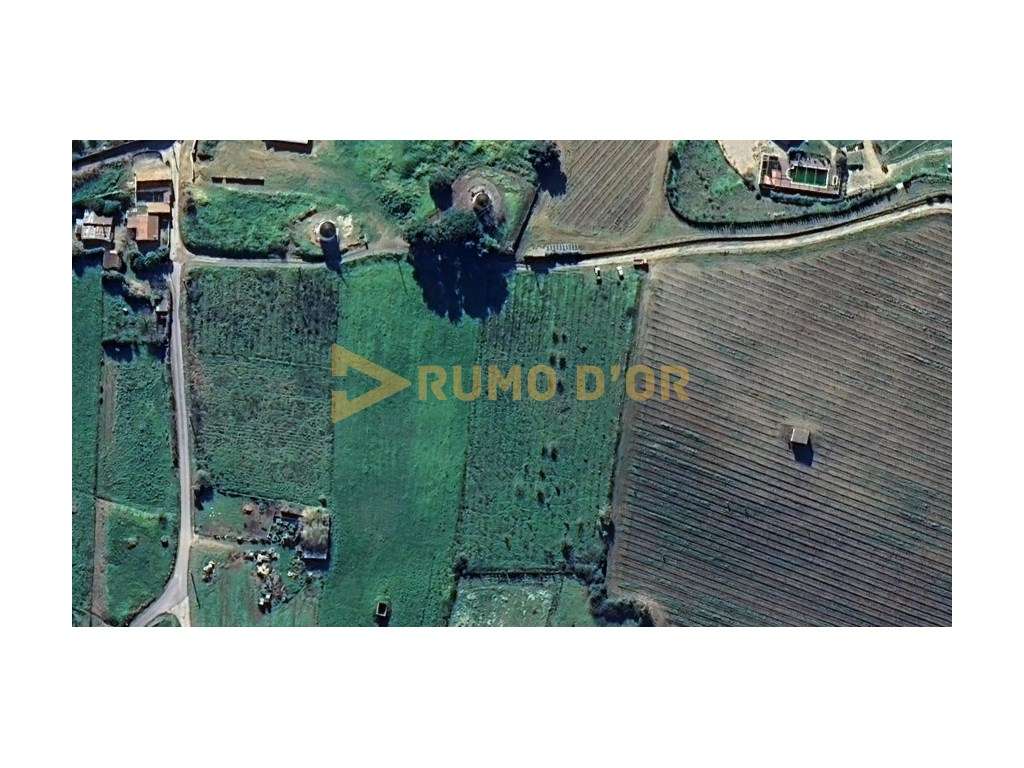 Terreno Rústico com 4.800 m² em Curvel - Torres Vedras-7