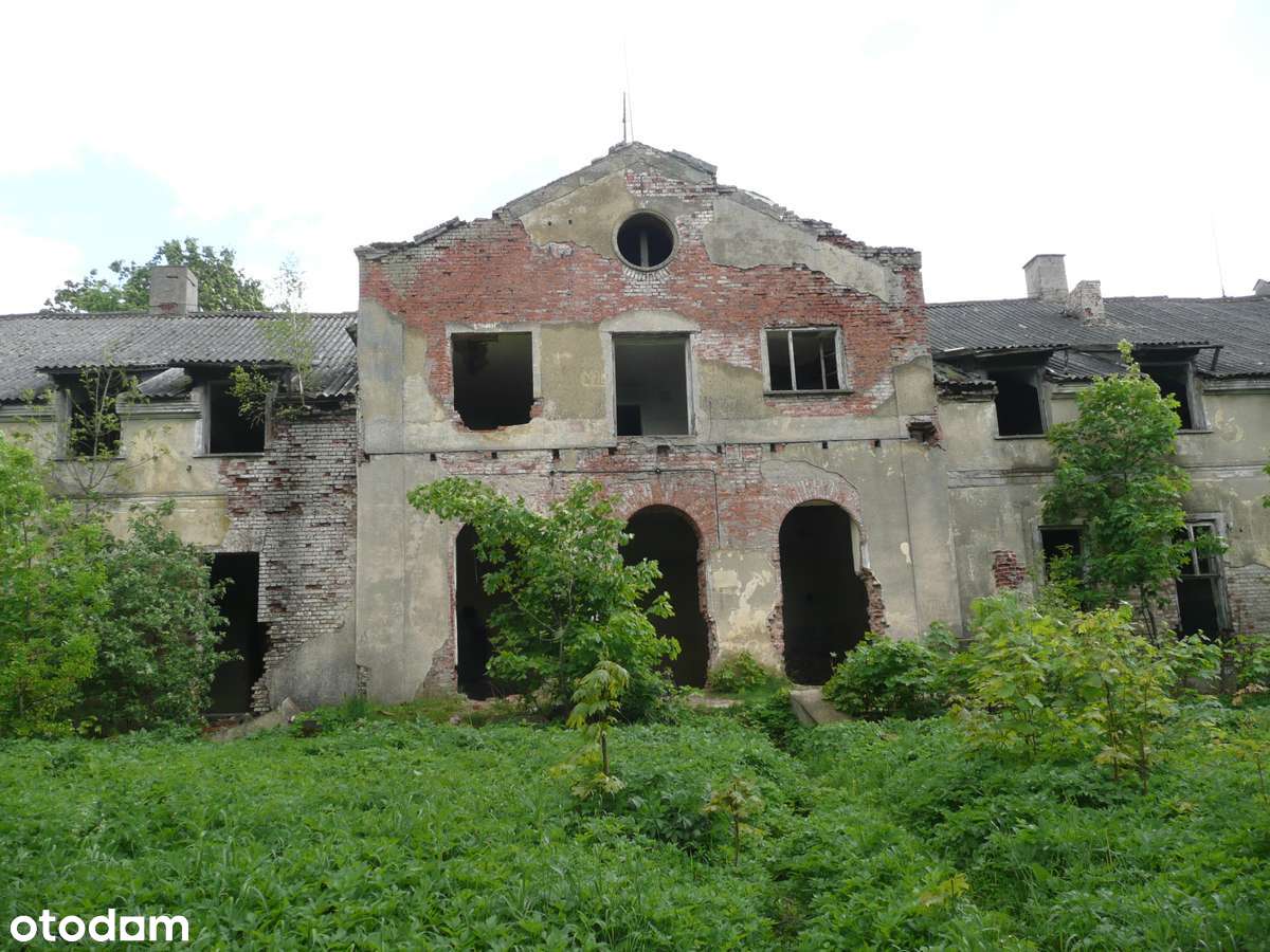 Zabytkowy Dwór z Parkiem-7