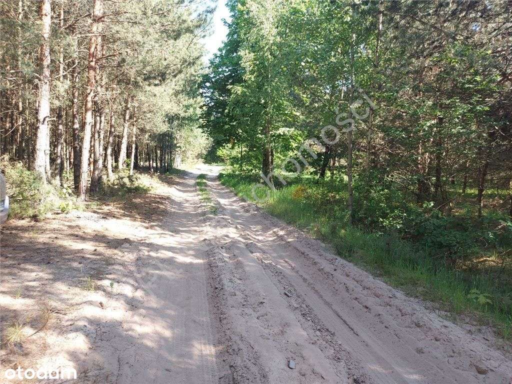 Duża działka w Nowych Groszkach - Pełny obrazek: 5/18