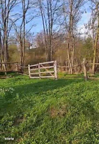 Schimb teren 9555 mp cu garsoniera - Imagine principală: 4/6