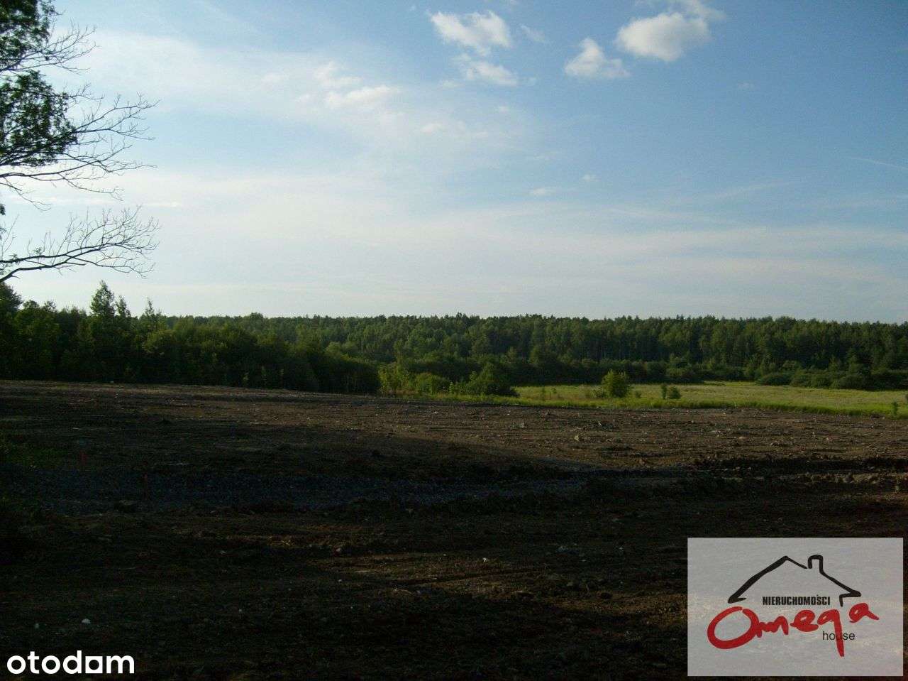 kompleks działek - Pełny obrazek: 4/6