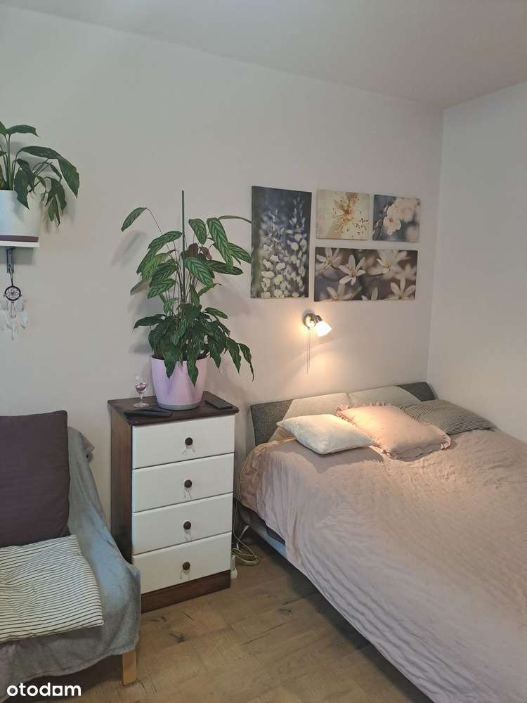 Bardzo ładna kawalerka na Dąbrowie , do wprowadzenia, do negocjacji - Pełny obrazek: 4/13