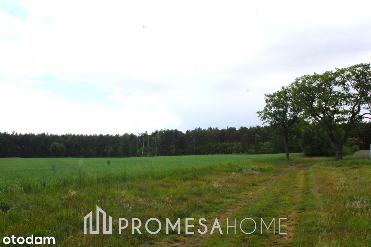 Sierosław 3247m2 pięknie położone działki przy lesie 40zł/m2 - Pełny obrazek: 4/6