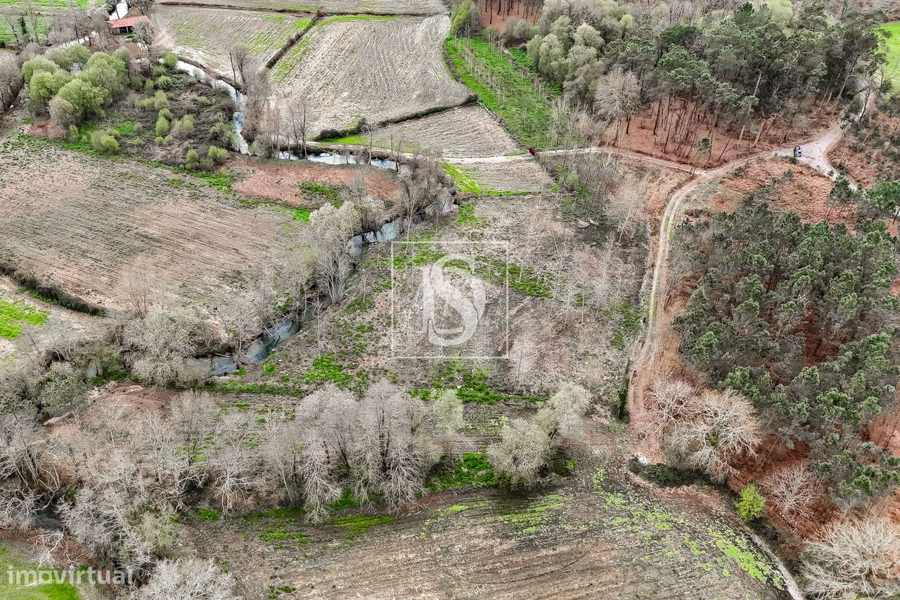 Terreno Rústico  Venda em Associação de freguesias do Vale do Neiva,Po-9