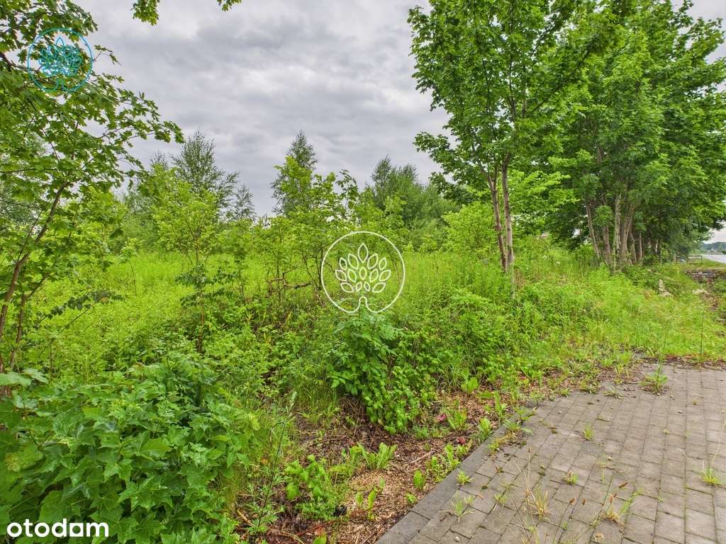 Głogowo działka budowlana 1503m2 - Pełny obrazek: 5/6