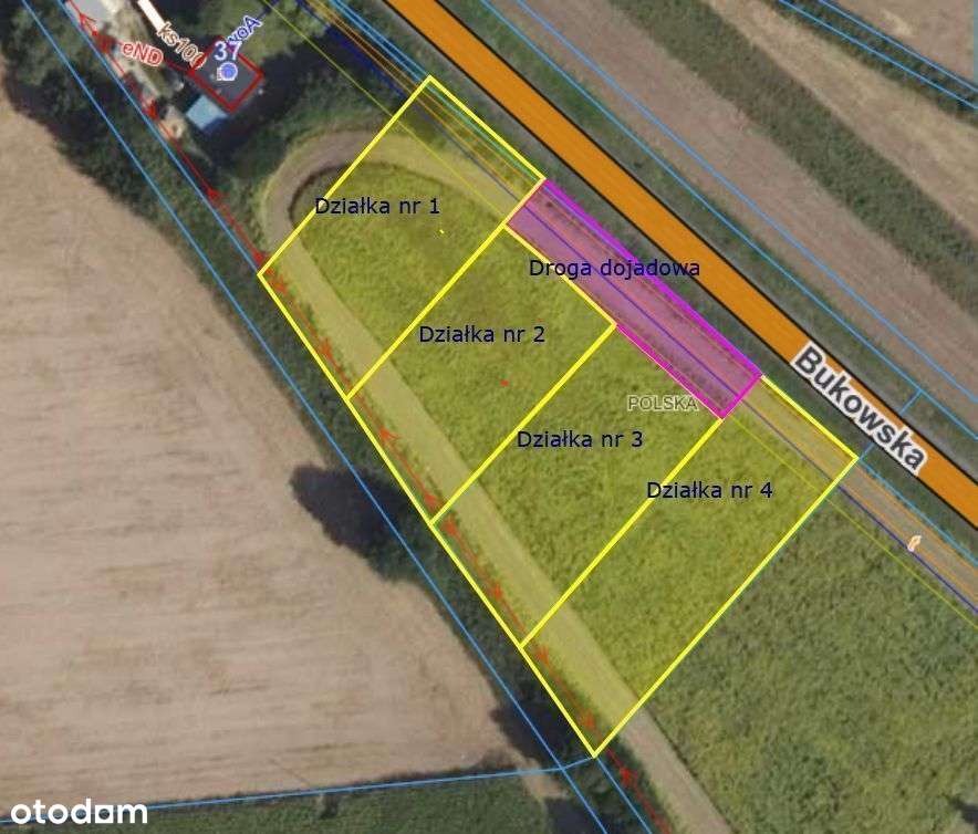 Okolica Stęszewa - Wielkawieś - WZ-0