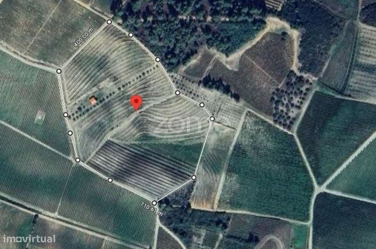 Terreno rústico com 34.330 m² de área - Grande imagem: 2/8