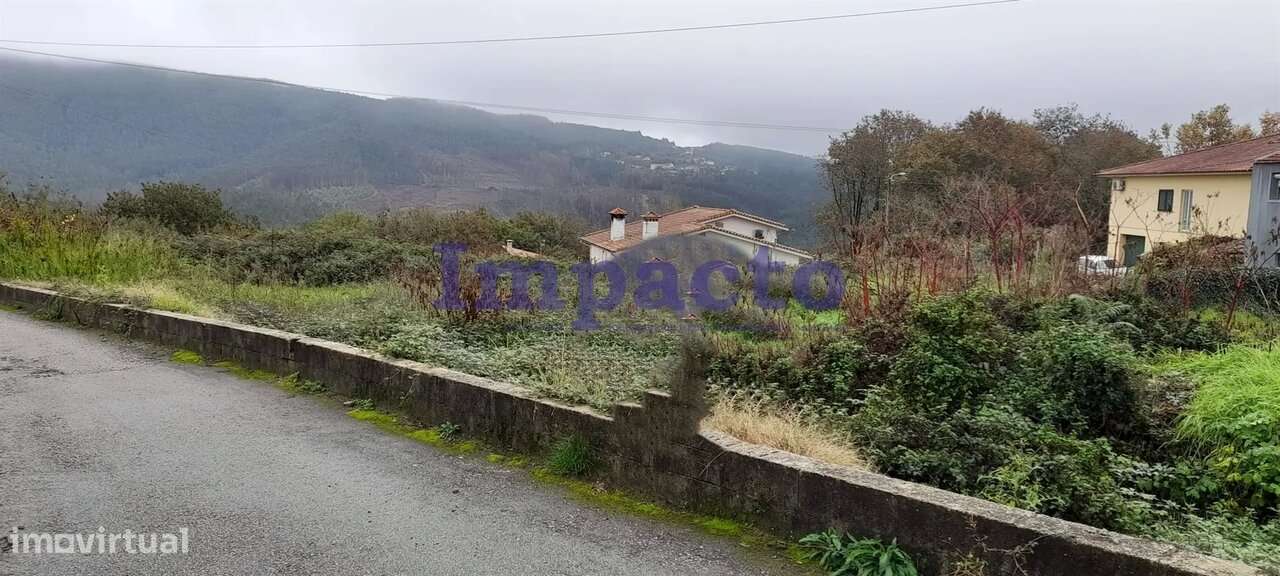 Terreno rústico em Palmaz, Oliveira de Azeméis - Grande imagem: 4/9