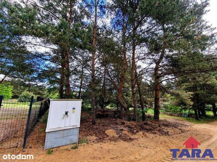 Działki w Laskach Wielkich Małych-9