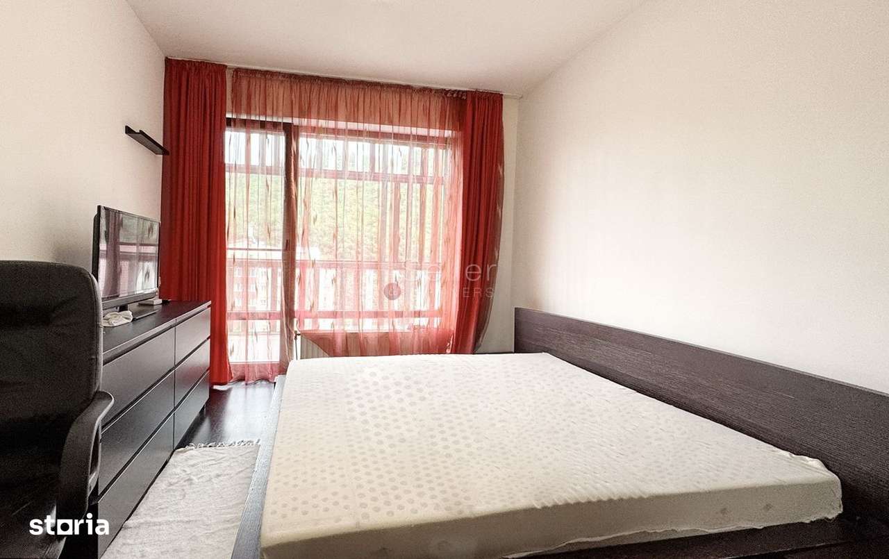 Pet Friendly complex Tampa Gardens - Imagine principală: 4/15