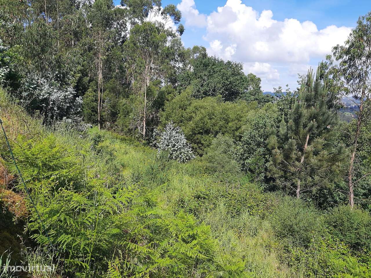 Terreno para construção da sua moradia de sonho Bustelo Penafiel-8
