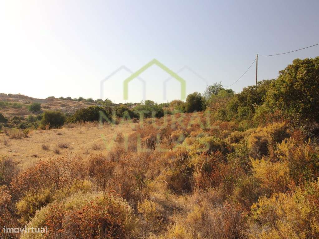 Terreno Plano com excelentes acessos, Estoi - Grande imagem: 2/5