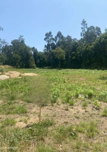 Terreno para Construção em Santa Maria da Feira - Grande imagem: 4/5