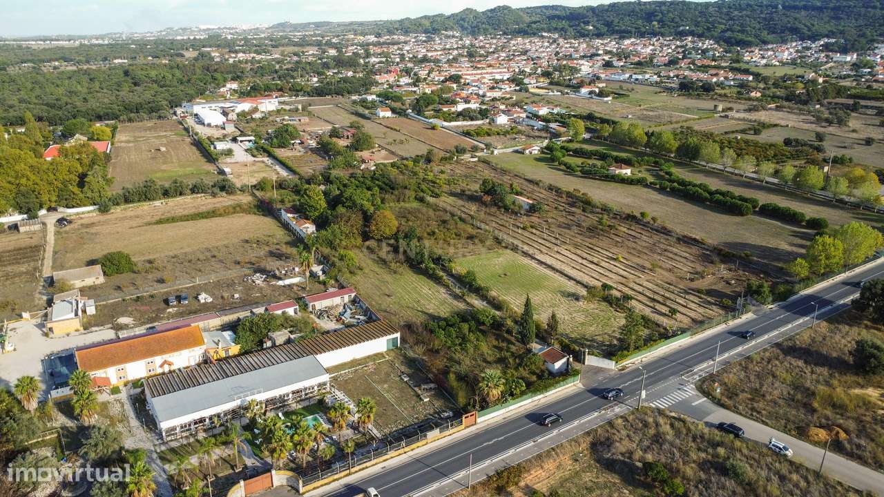 Terreno Rústico em Quinta do Anjo, Palmela - 11.800m2-19
