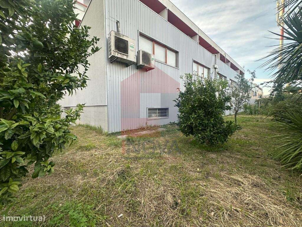 Apartamento T3 com Terreno, Vila Verde - Grande imagem: 4/9