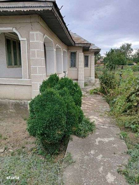 casa batraneasca - Imagine principală: 5/8