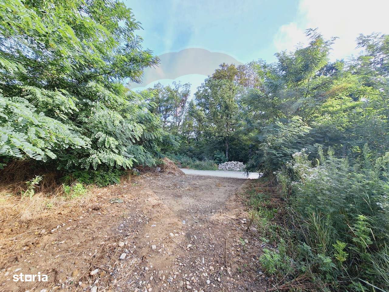 Teren 3,219mp Hidiselu de Sus / Strada Principala - Imagine principală: 5/5