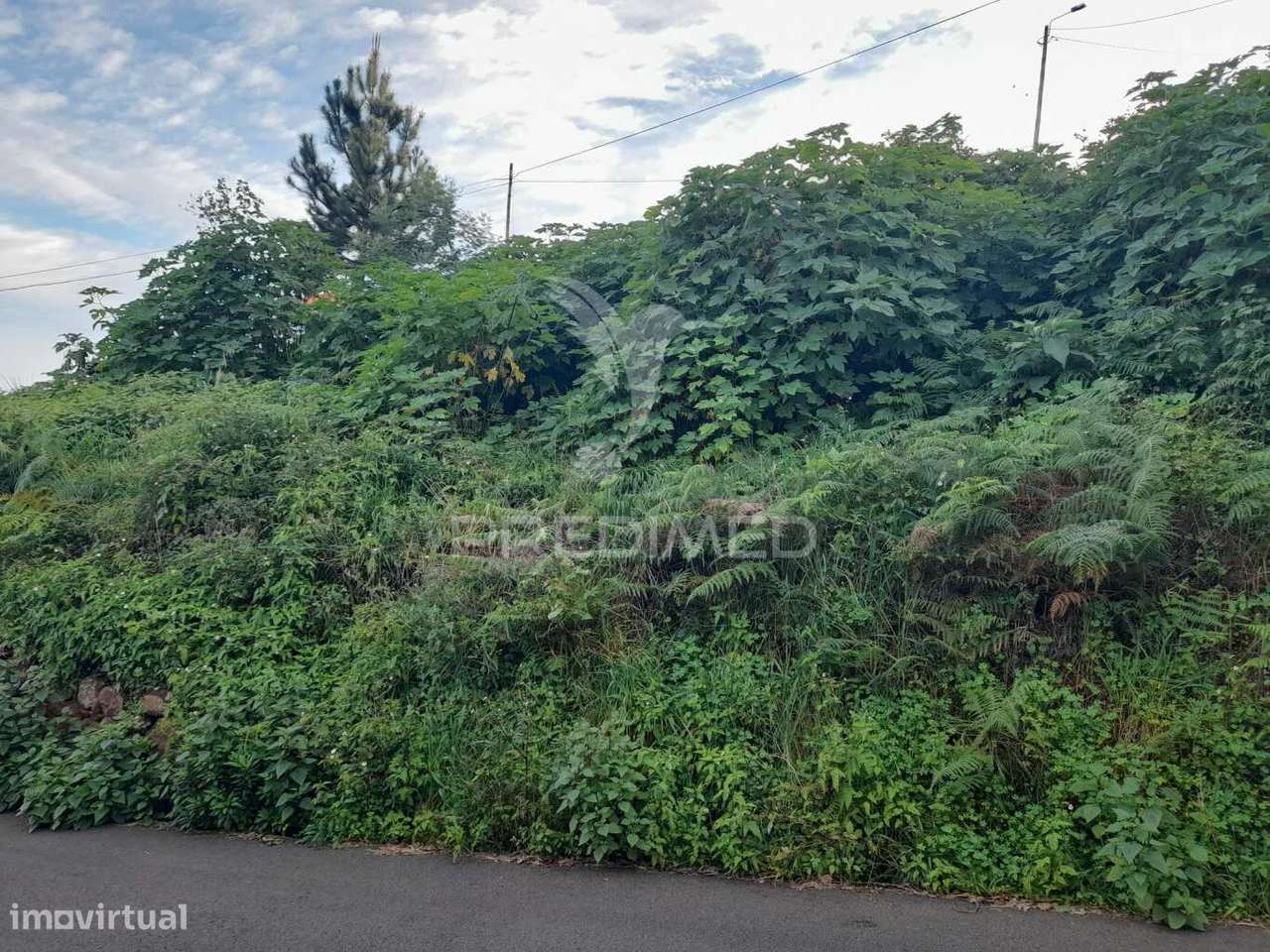 Terreno Rústico 2470m2 em Gaula - Grande imagem: 5/6