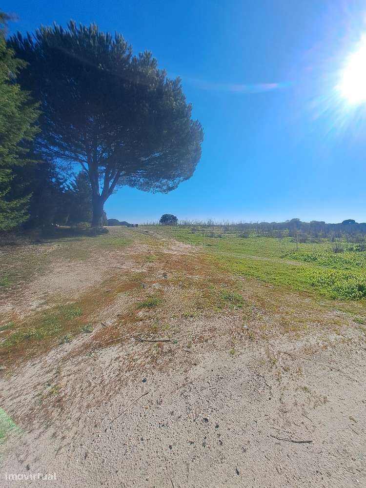 Terreno em Pegões  próximo  novo aeroporto - Grande imagem: 4/22