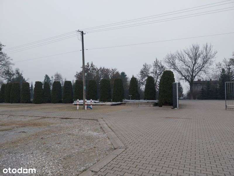 Hala produkcyjna z częścią biurowo-socjalną 100Kw - Pełny obrazek: 4/19