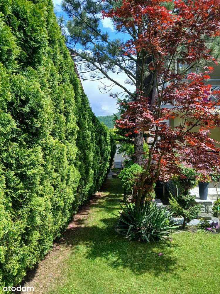 Dom Ustroń - Poniwiec z widokiem na góry - Pełny obrazek: 4/14